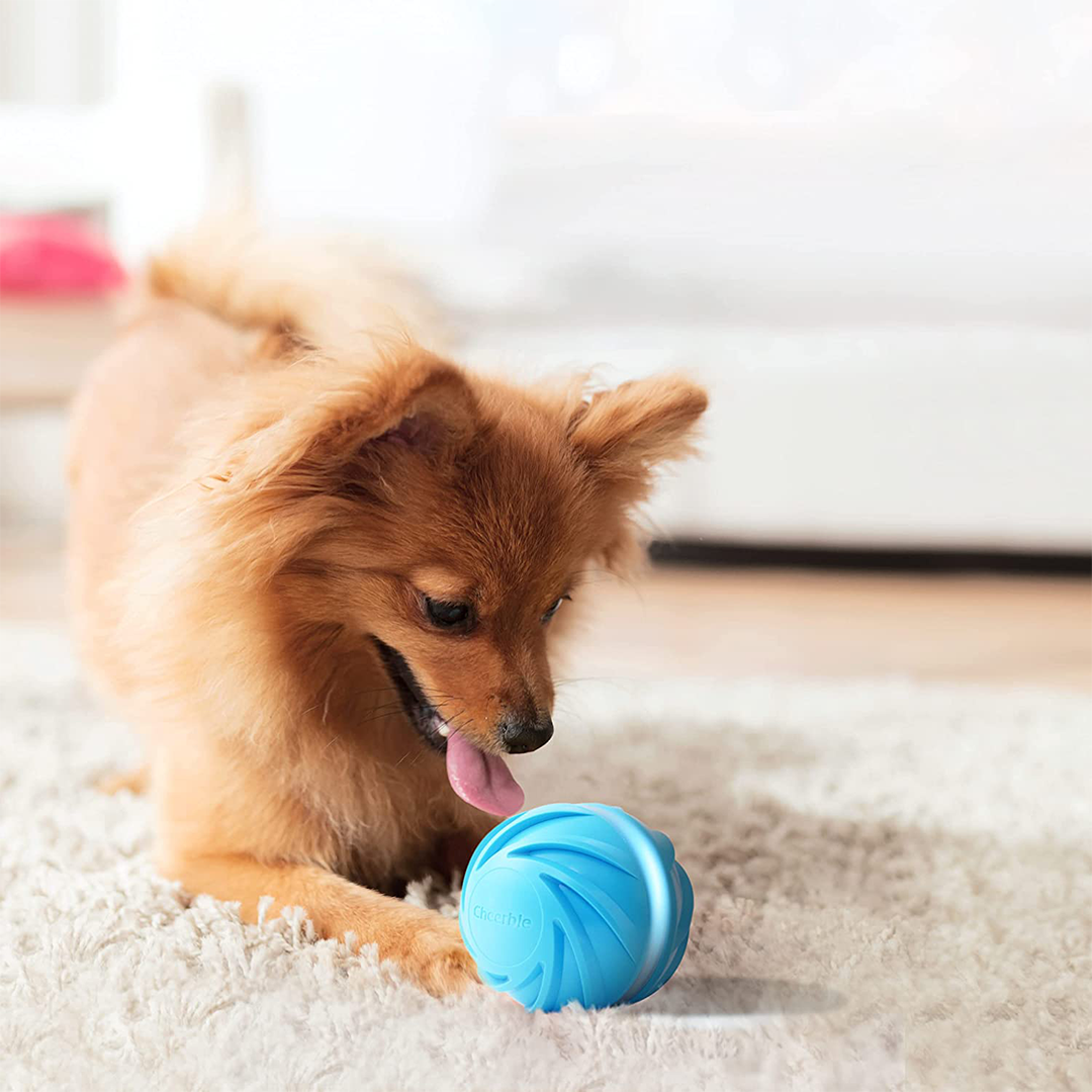 Cheerble, Cheerble Wicked Ball - A 100% automatic ball for Dogs and Cats