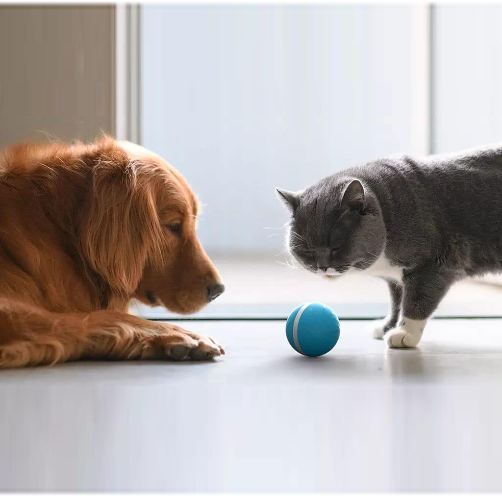 Cheerble, Cheerble Wicked Ball - A 100% automatic ball for Dogs and Cats